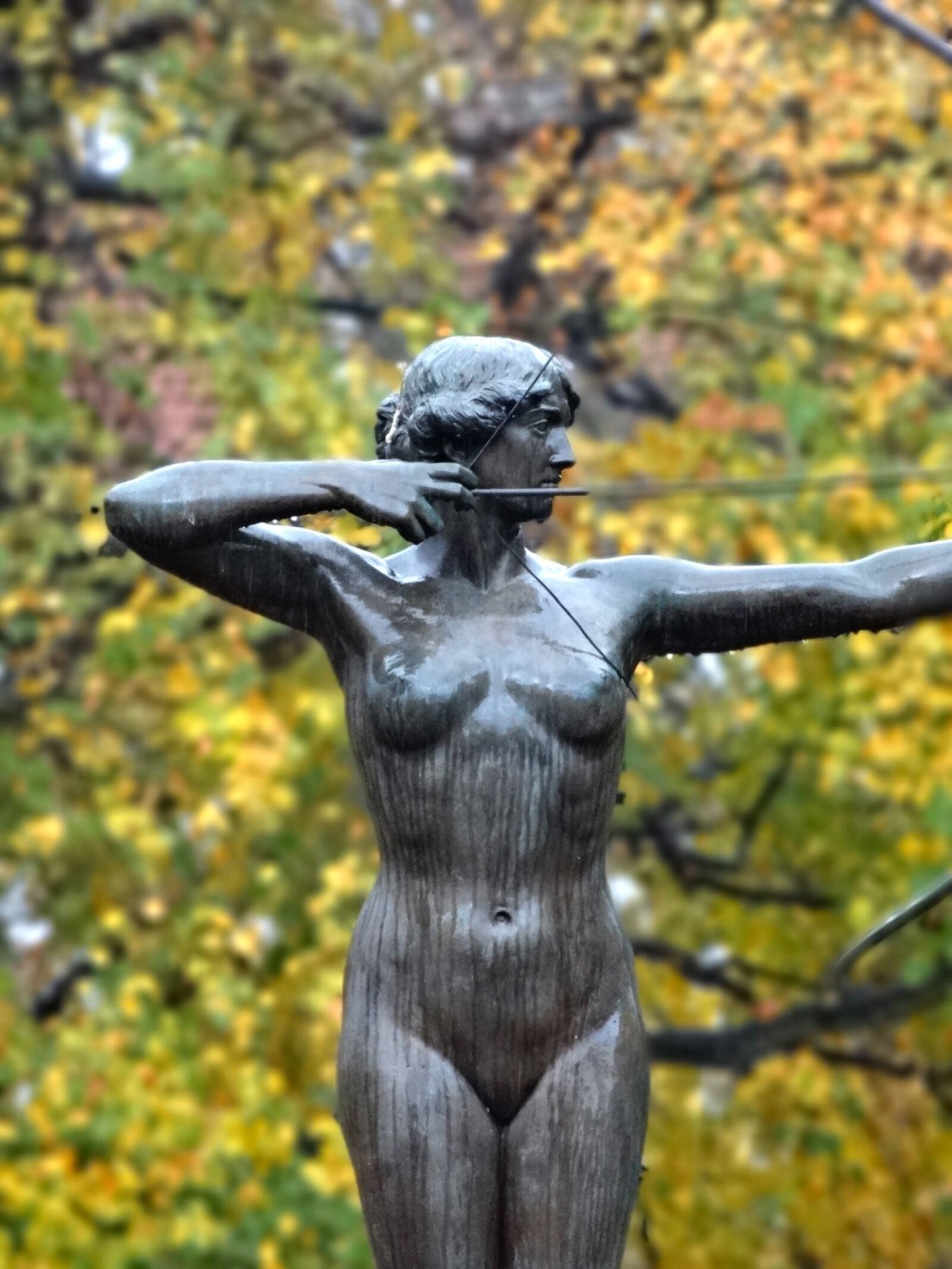 Sony Cyber-shot DSC-HX20V sample photo. Luczniczka, bydgoszcz, statue photography