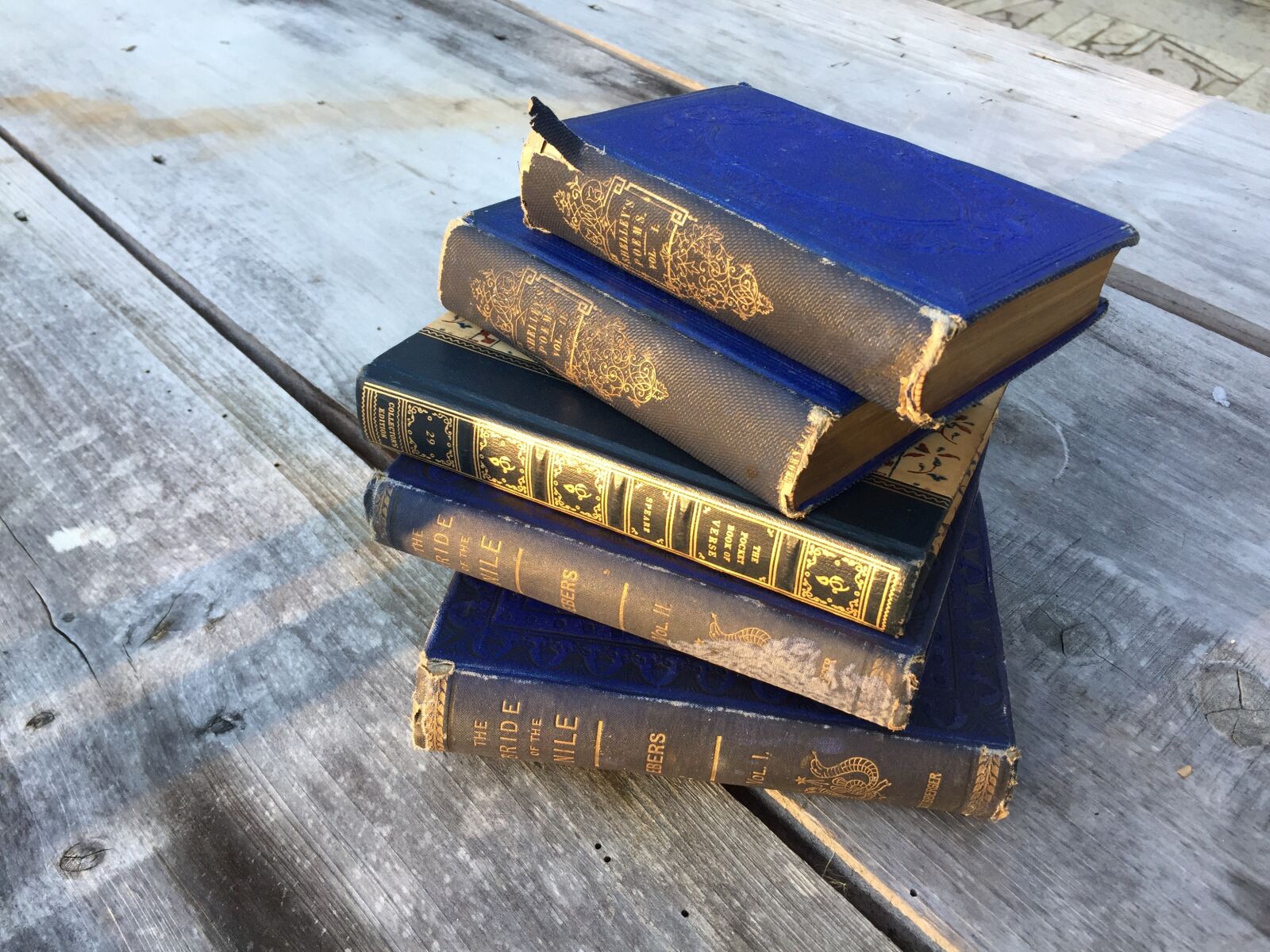 Apple iPhone 6 sample photo. Books, read, reading photography