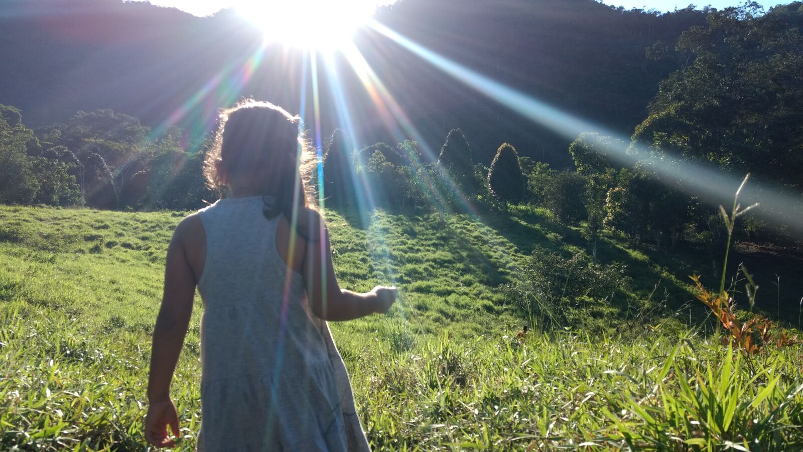 Motorola Moto G (4) sample photo. Forest, girlr, sunlight, walking photography