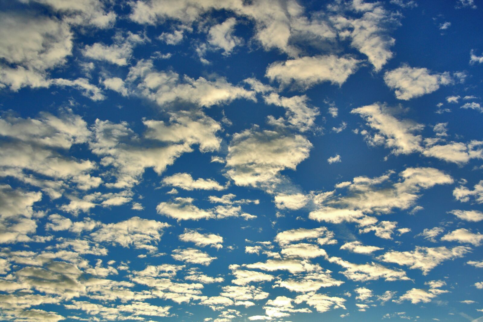 Canon EOS 450D (EOS Rebel XSi / EOS Kiss X2) sample photo. Clouds, blue, sky photography