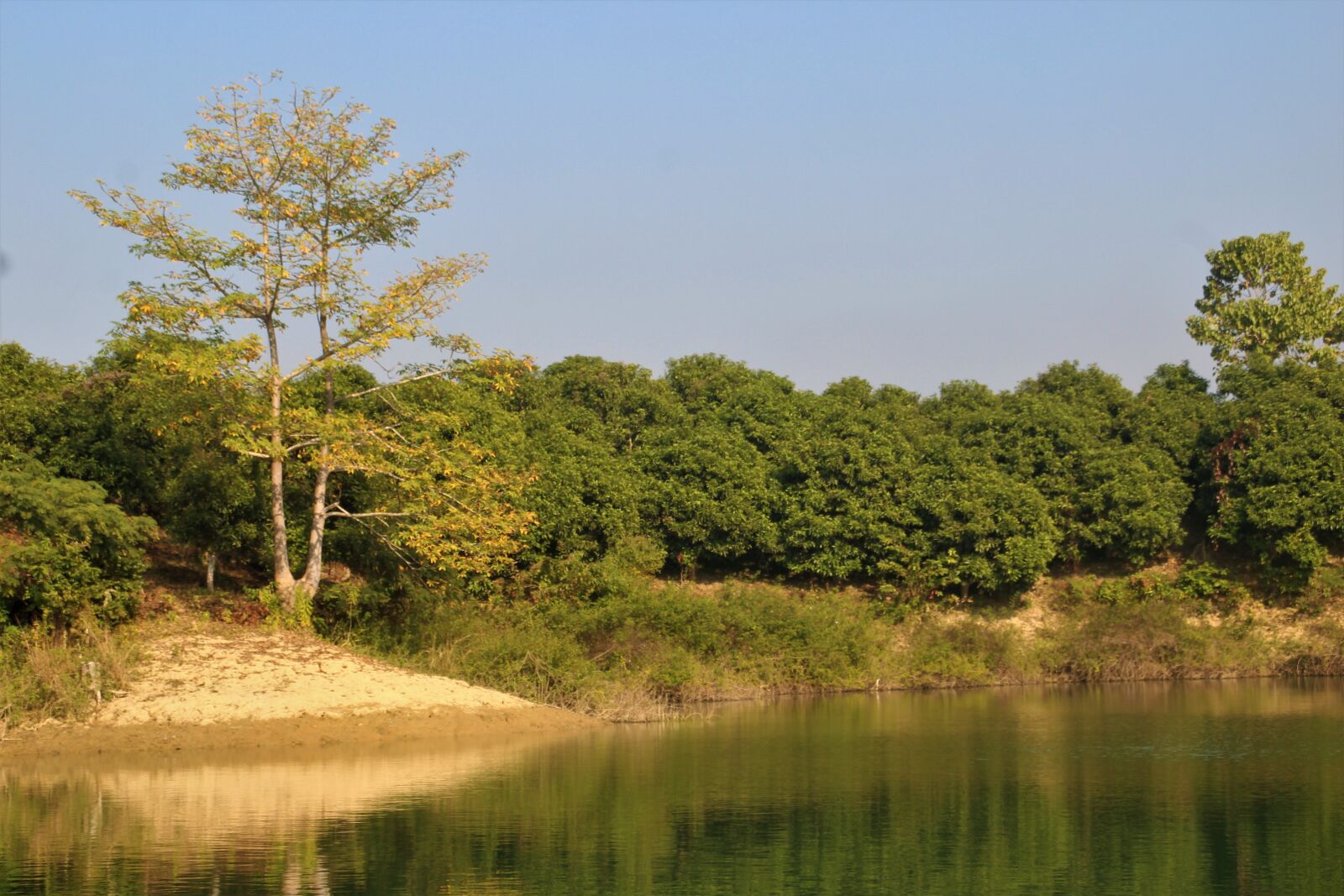 Canon EOS 1200D (EOS Rebel T5 / EOS Kiss X70 / EOS Hi) sample photo. River, trees, nature photography