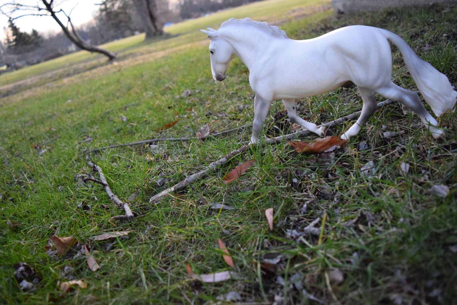 Nikon D3300 sample photo