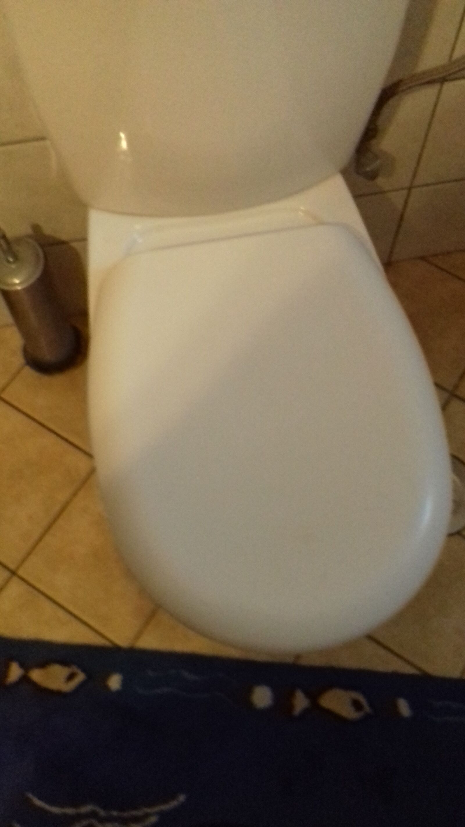 Samsung Galaxy J3(2016) sample photo. Toilet, wc, bathroom photography