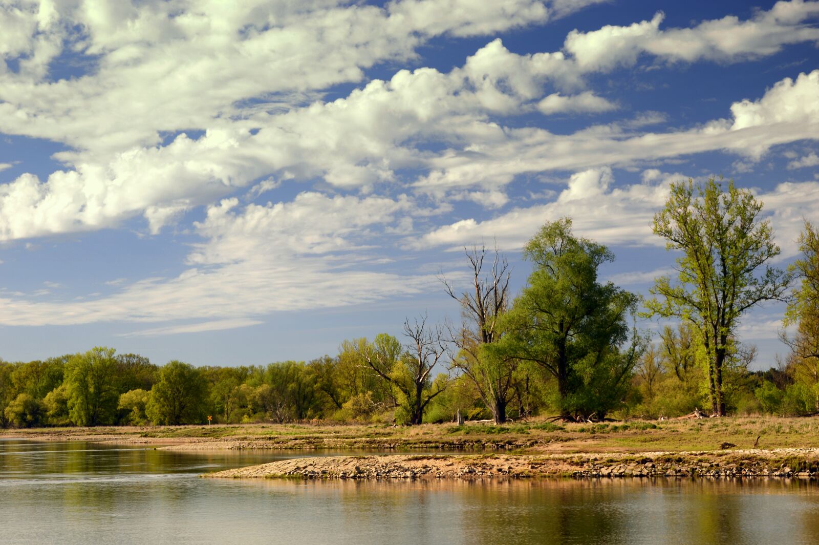 Nikon D3200 sample photo. River, river landscape, bank photography