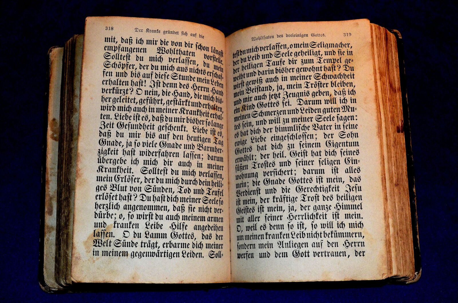Nikon D5100 sample photo. Antiquariat, book, bible photography