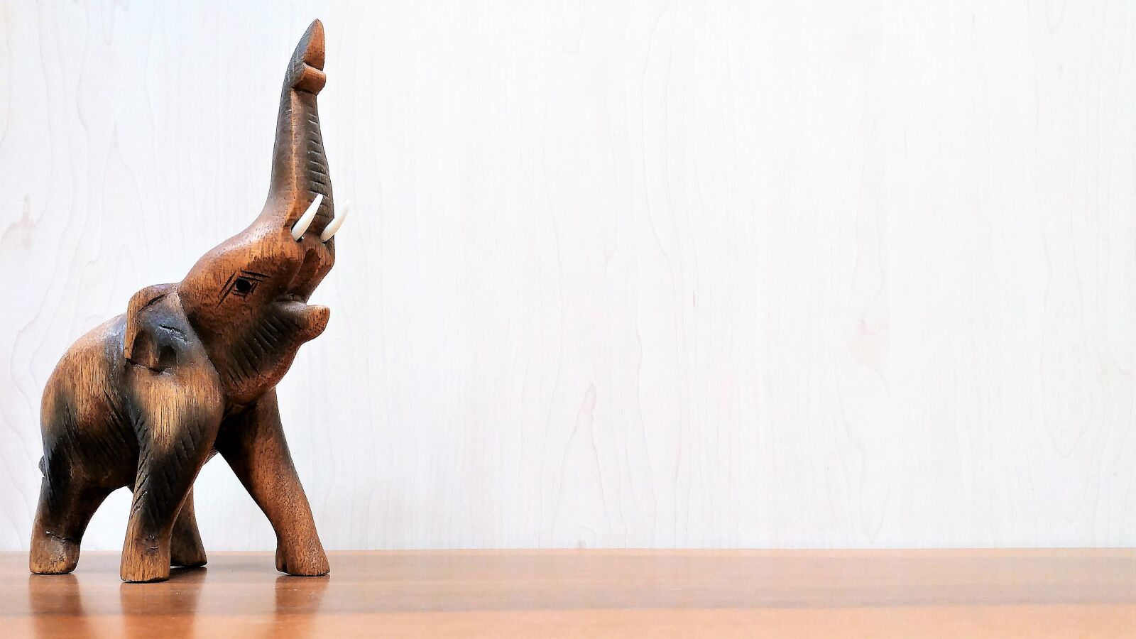 LG G5 sample photo. Elephant, wood, abstract photography