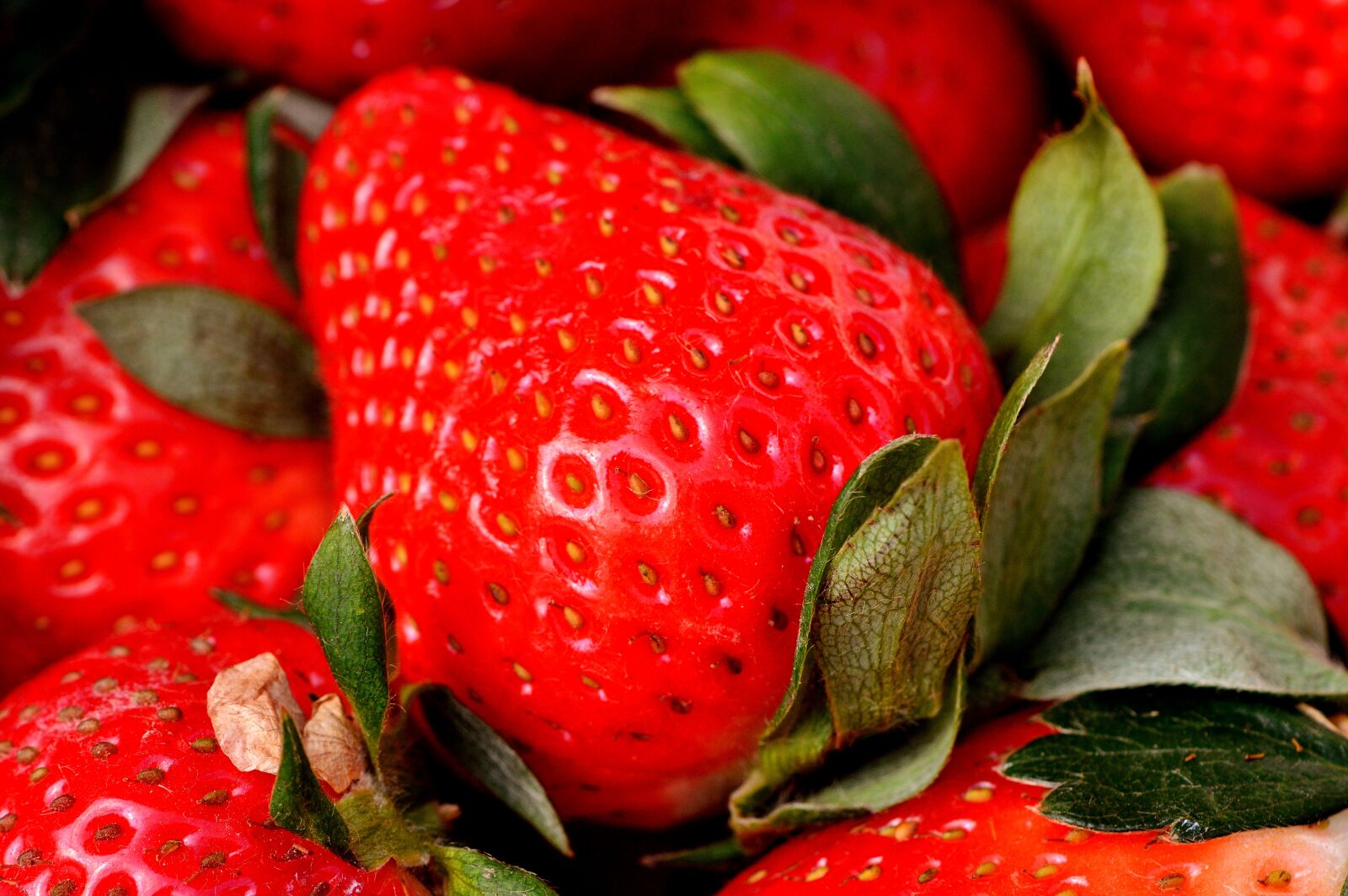 Nikon D3200 sample photo. Strawberries, delicious, fruit photography
