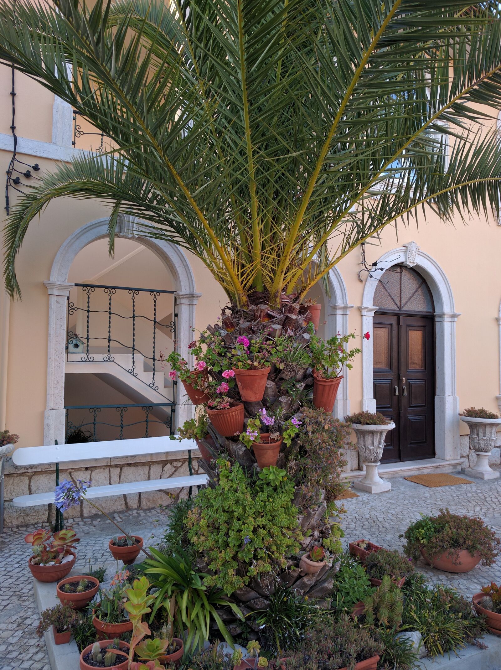 LG Nexus 5X sample photo. Plants, decoration, house photography