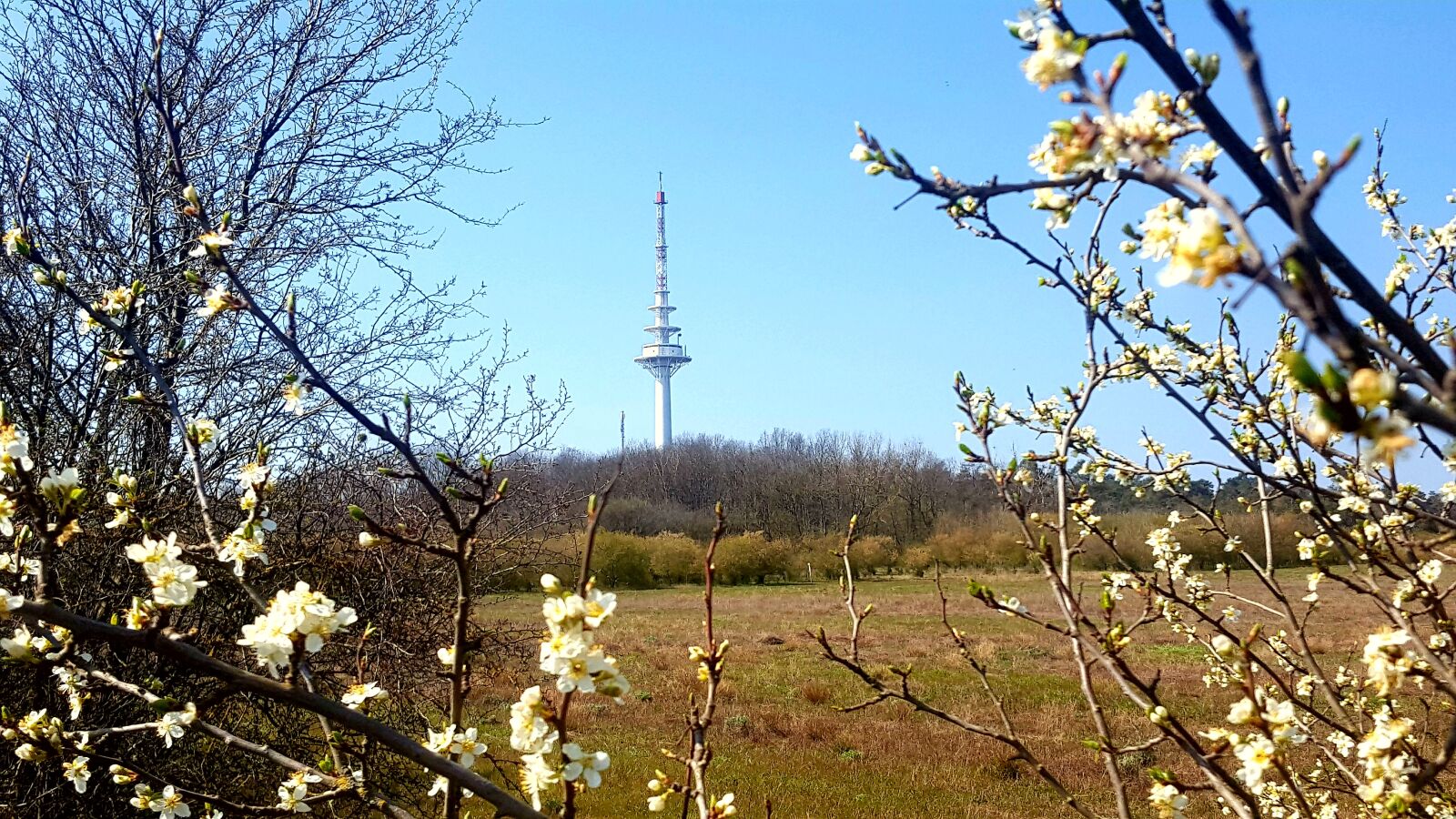 Samsung Galaxy S6 sample photo. Frohser berg, sch nebeck photography