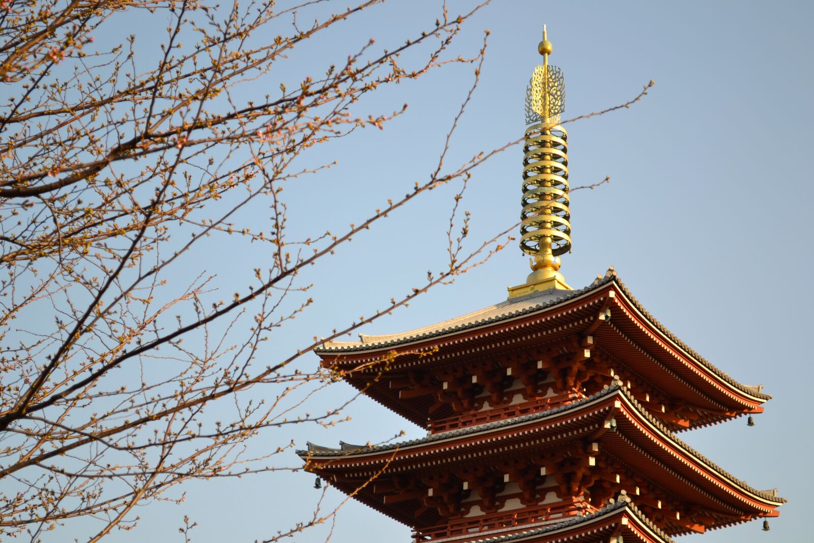 Nikon D3100 sample photo. Japan, tokyo, asakusa photography