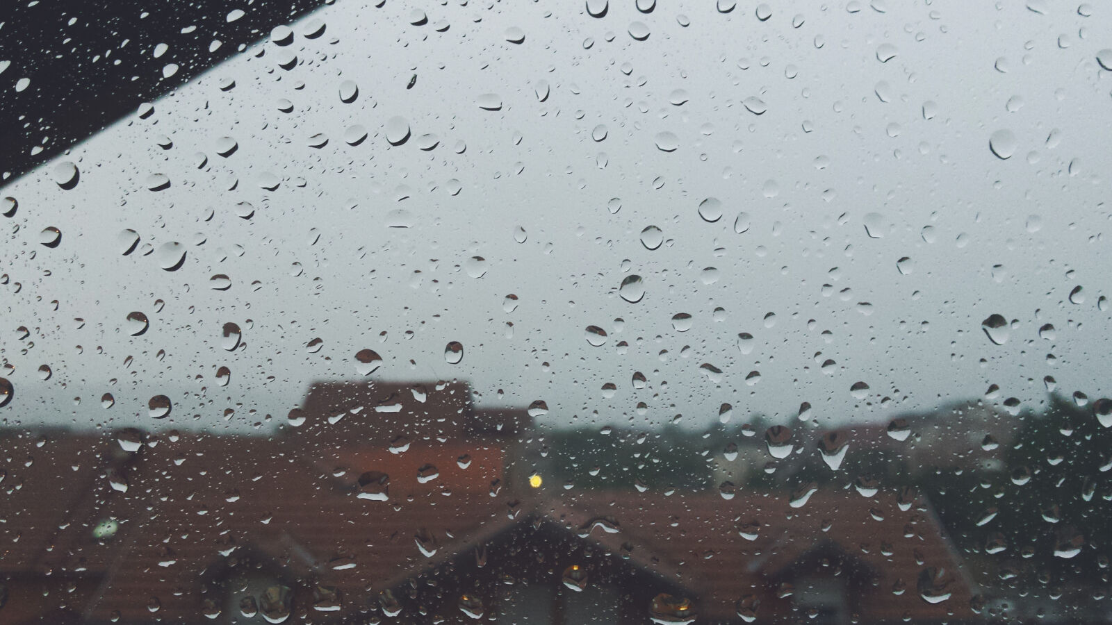 Samsung Galaxy S4 sample photo. Galaxy, gray, macro, rain photography