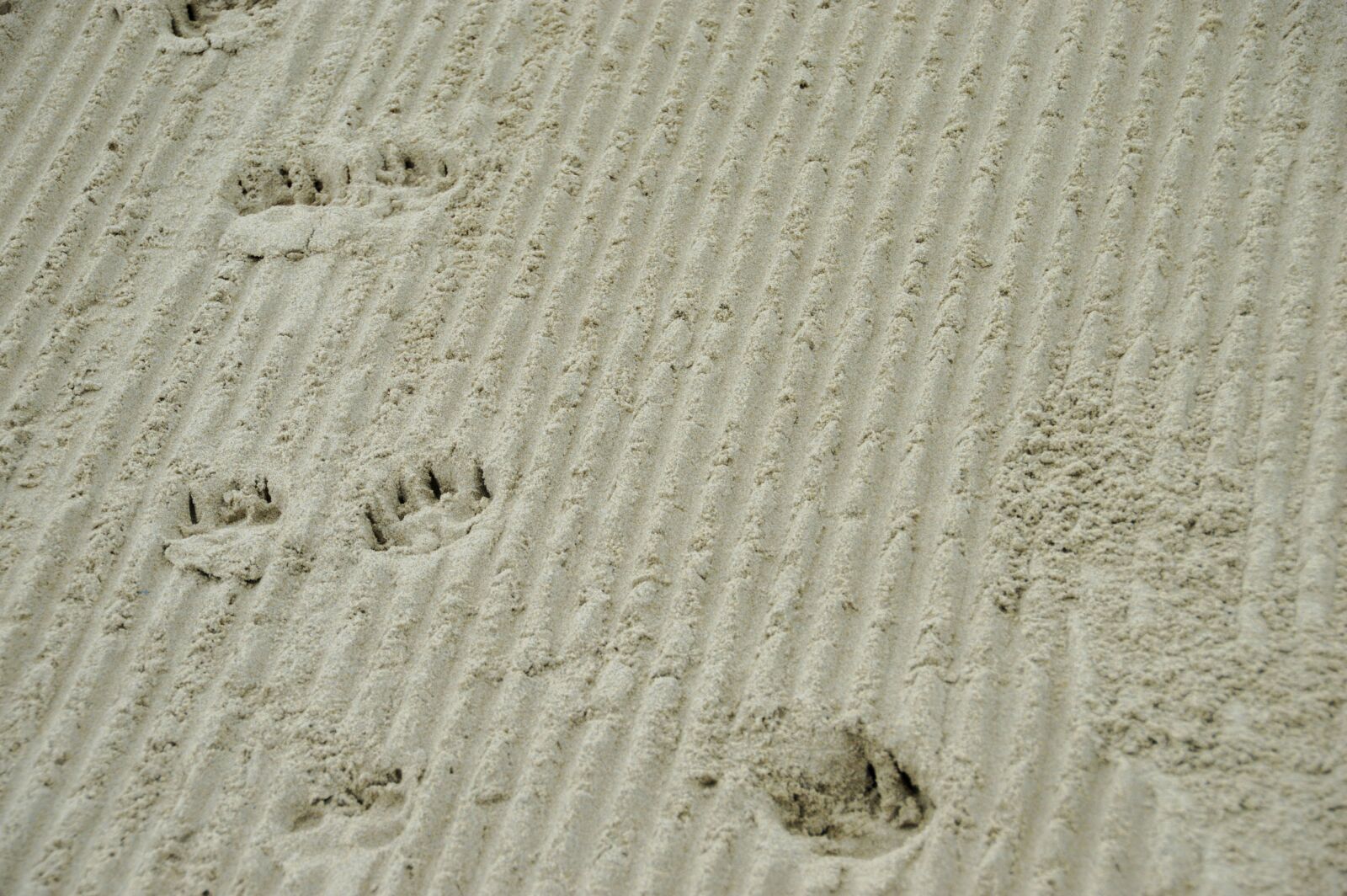Nikon D3200 sample photo. Sea, beach, stella beach photography