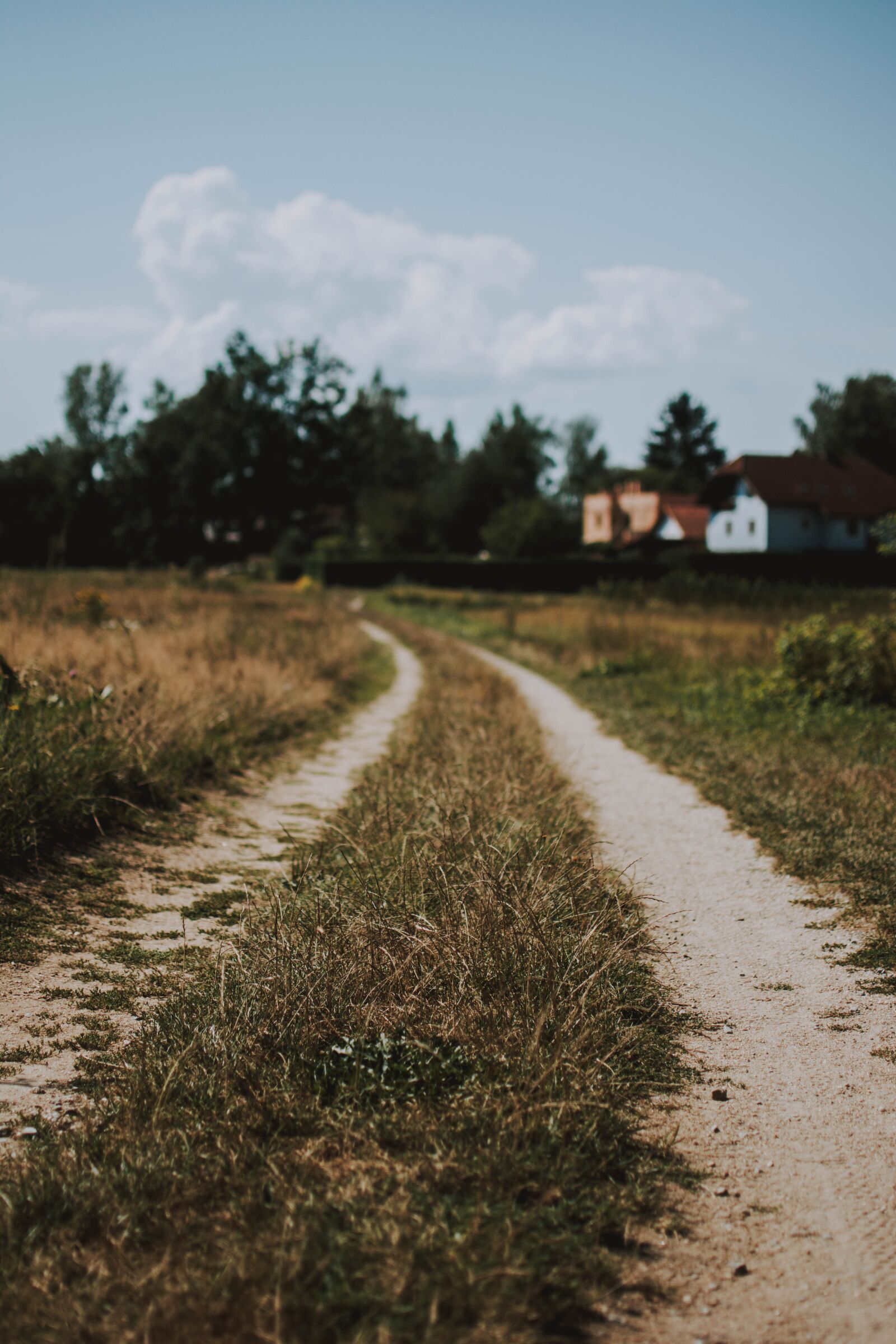 Nikon D5200 sample photo. Nature, landscape, forest photography