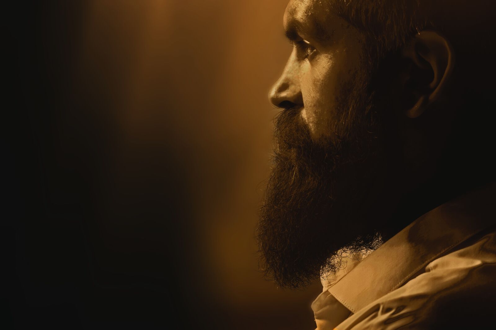 Canon EF 100mm F2.8L Macro IS USM sample photo. Gold, bearded, men photography