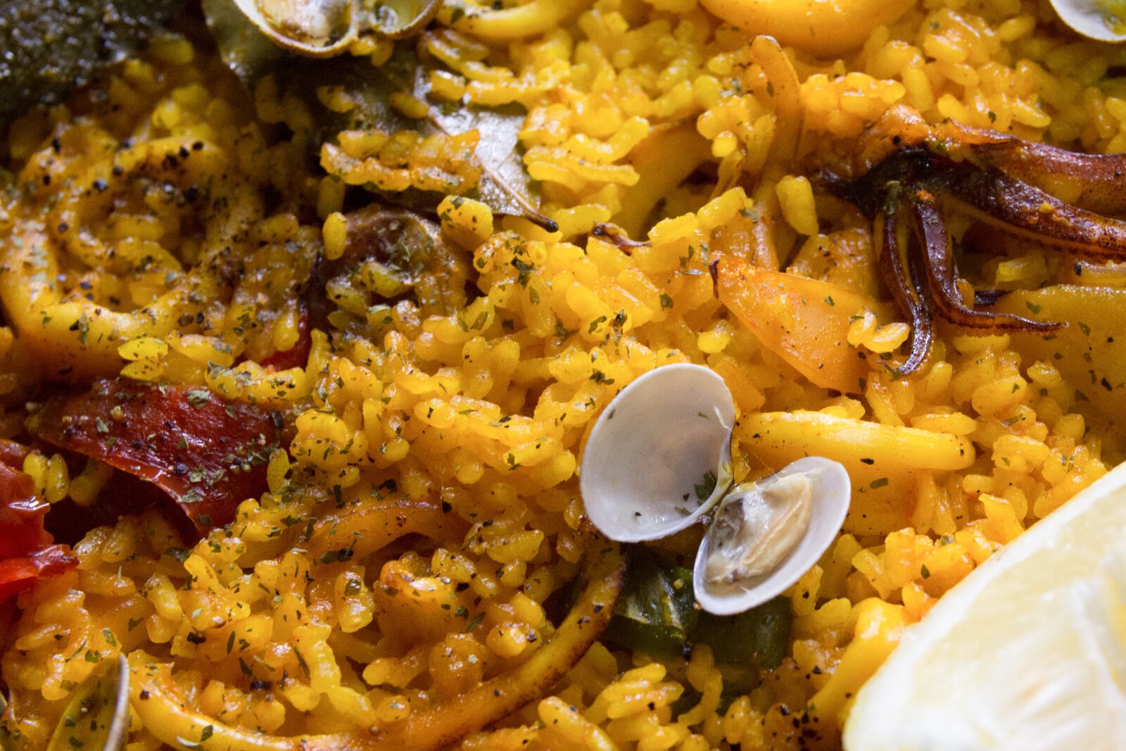 Canon EOS 60D sample photo. Paella, rice, clams photography