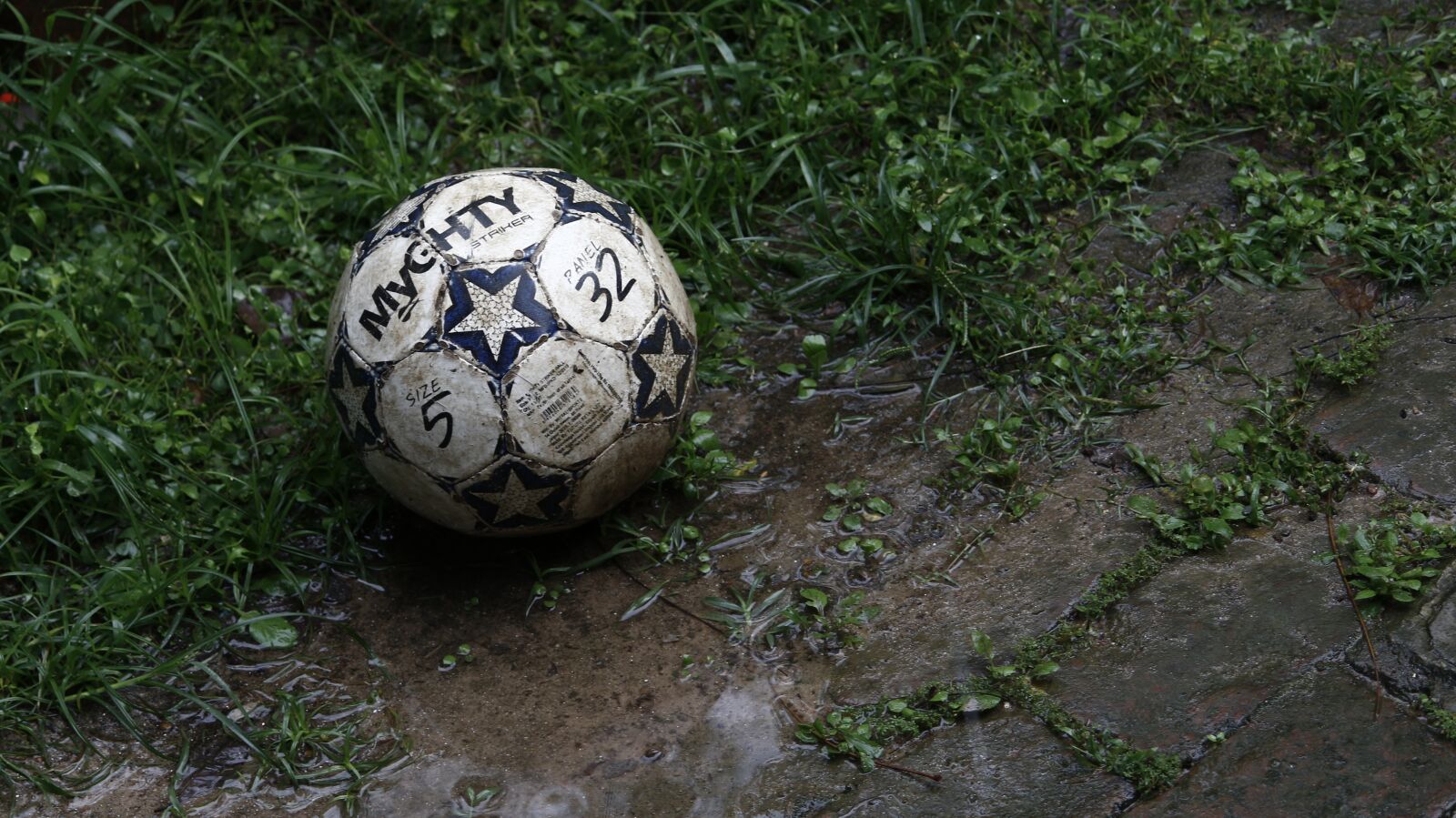 Canon EOS 700D (EOS Rebel T5i / EOS Kiss X7i) sample photo. Games, football, garden photography