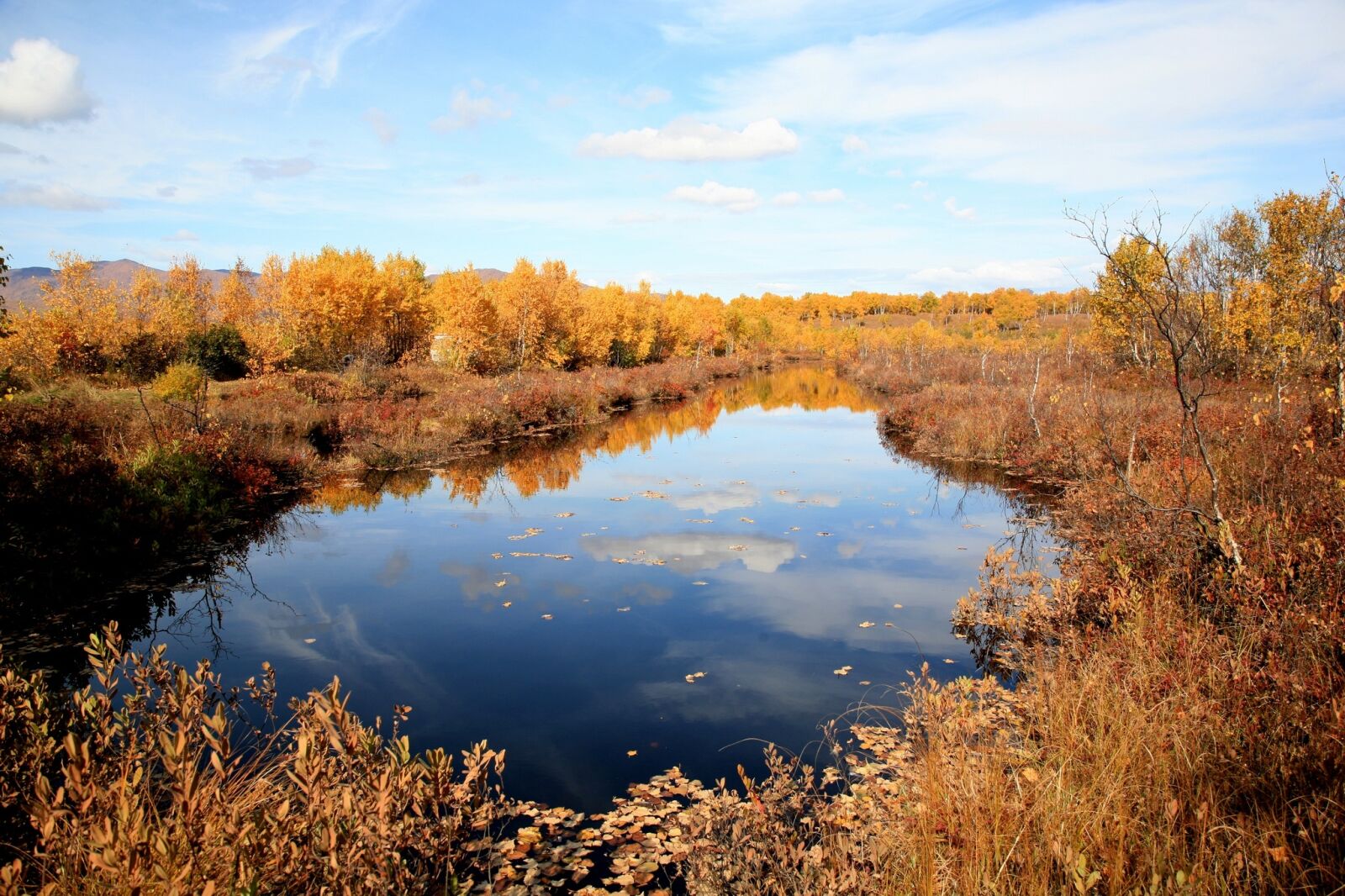 Canon EOS 5D sample photo. Autumn, forest, lake photography