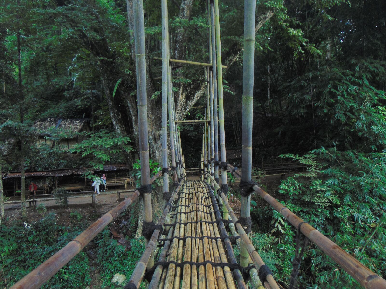 Sony Cyber-shot DSC-H300 sample photo. Alam, indonesia, baduy photography