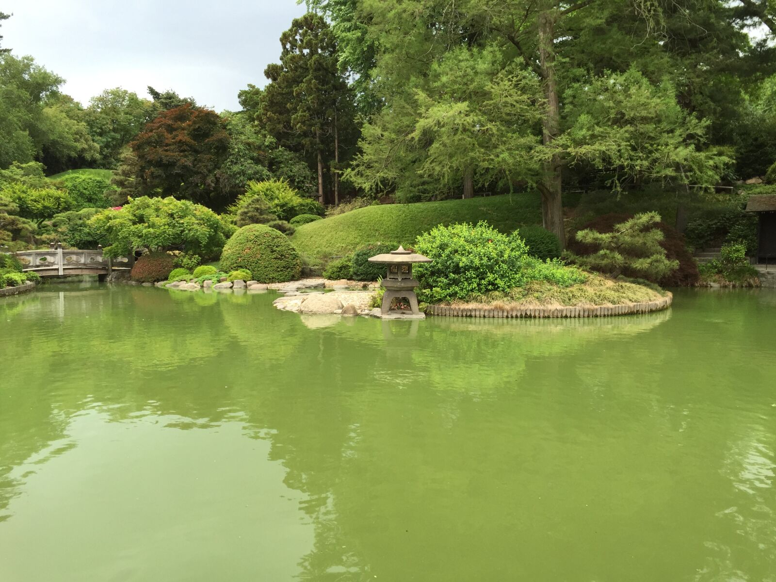 iPhone 6 Plus back camera 4.15mm f/2.2 sample photo. Pond, botanical garden, tranquility photography
