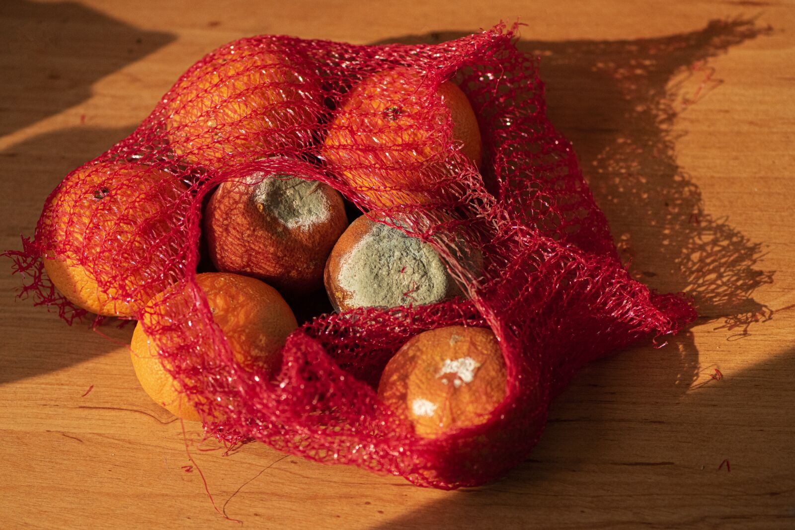 Nikon D850 sample photo. Fruits, mould, nature photography