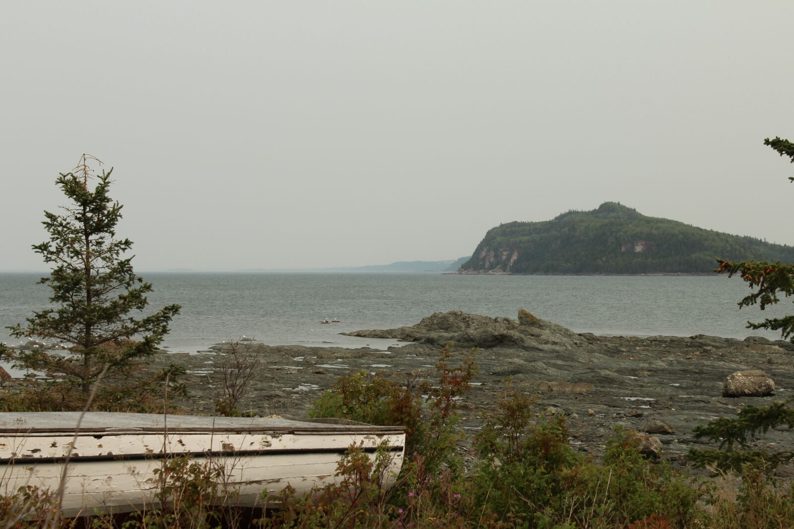 Canon EOS 1200D (EOS Rebel T5 / EOS Kiss X70 / EOS Hi) sample photo. Nature, landscape, river photography