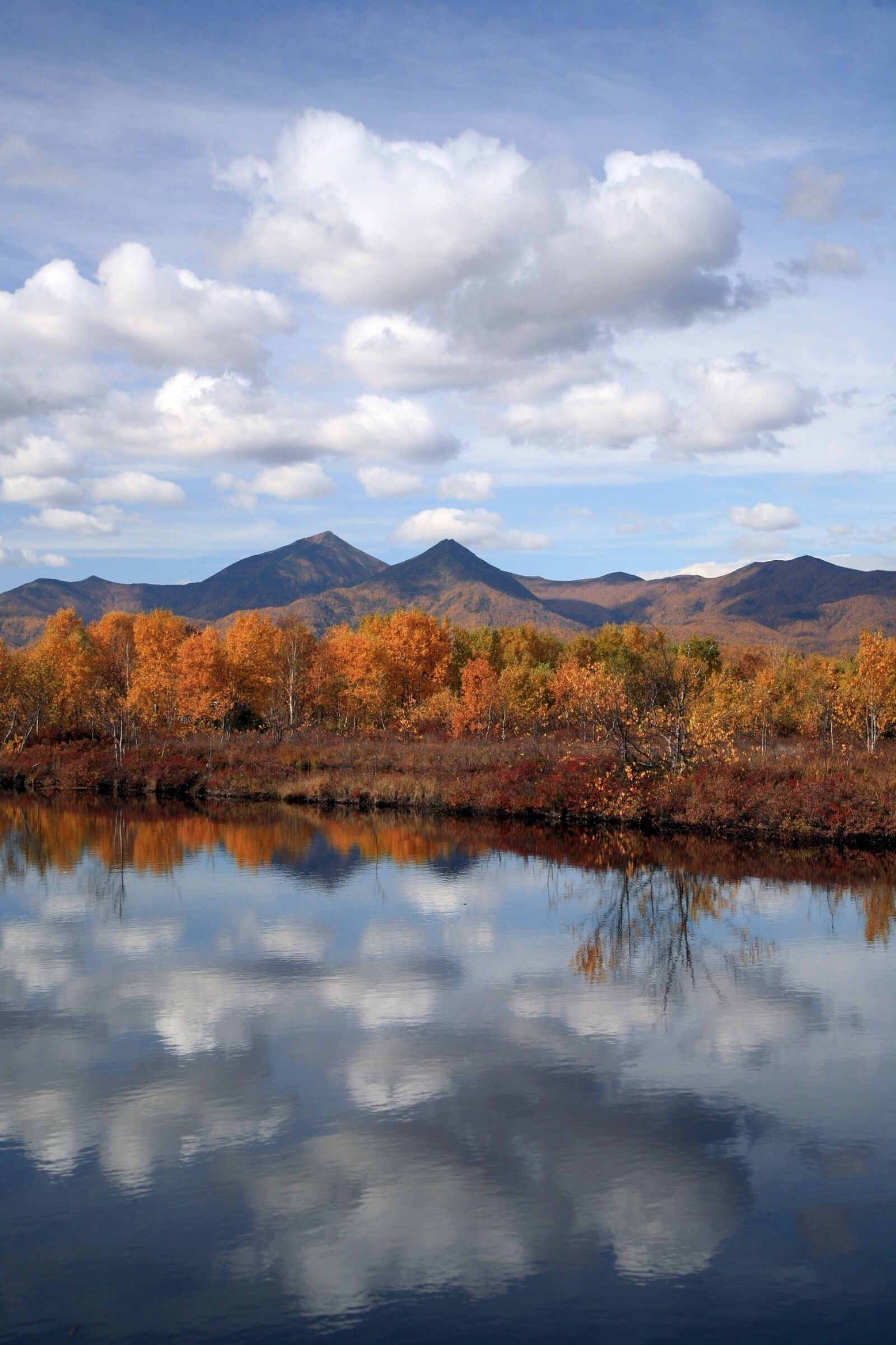 Canon EOS 5D sample photo. Autumn, forest, lake photography