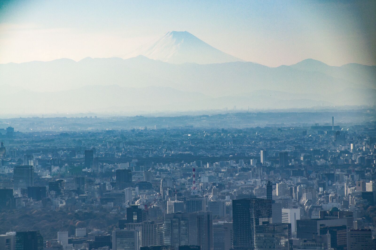 Nikon D5000 sample photo. Tokyo, japan, city photography