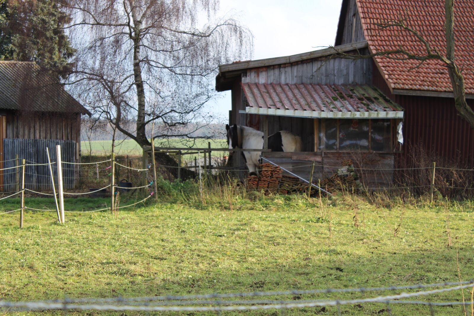 Canon EOS 1300D (EOS Rebel T6 / EOS Kiss X80) sample photo. Horse, stall, horse head photography