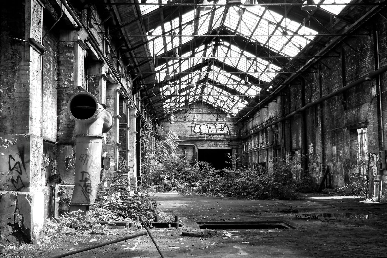 Olympus OM-D E-M10 sample photo. Lost places, rooms, abandoned photography