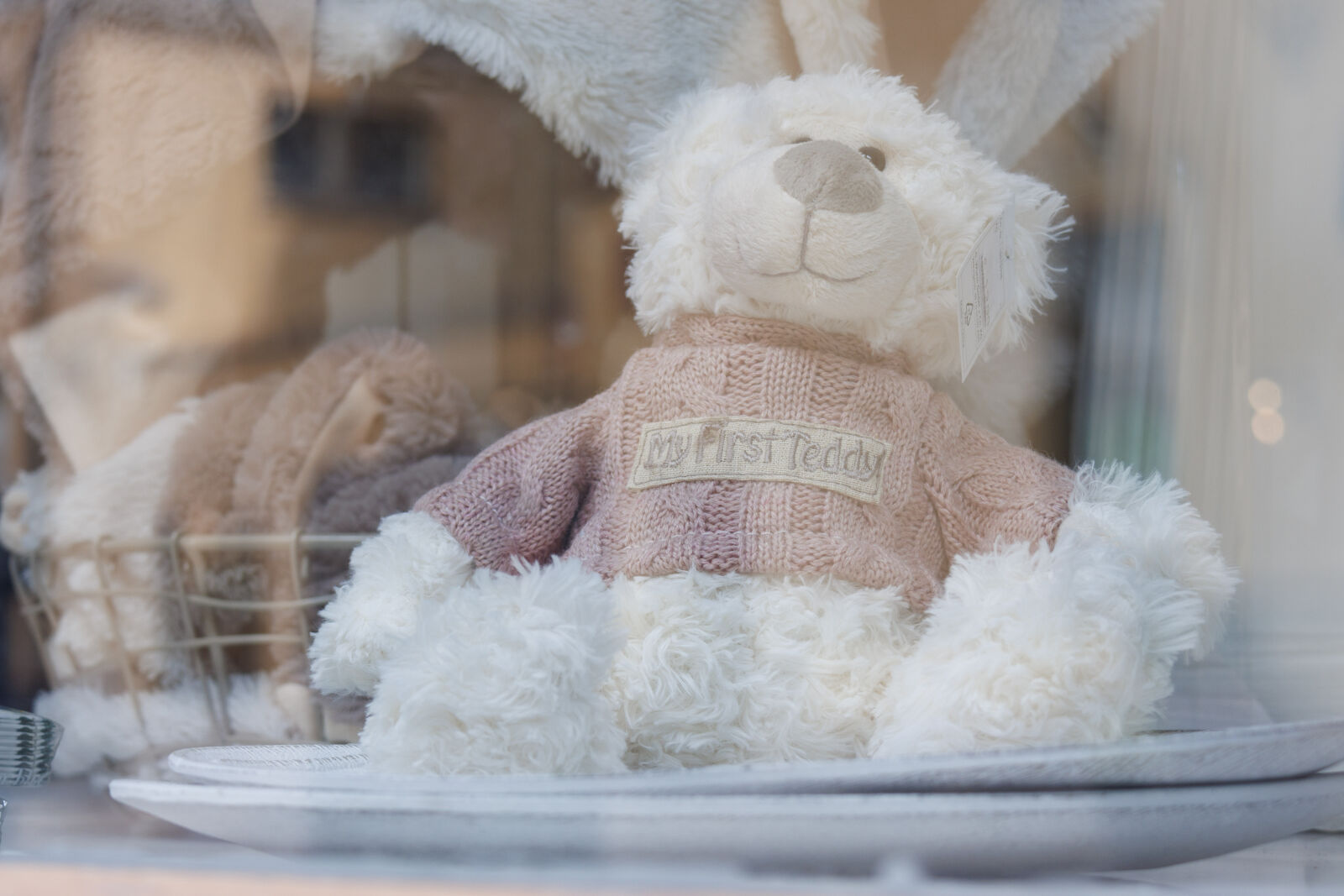 Canon RF-S 18-150mm F3.5-6.3 IS STM sample photo. Fluffy teddy photography