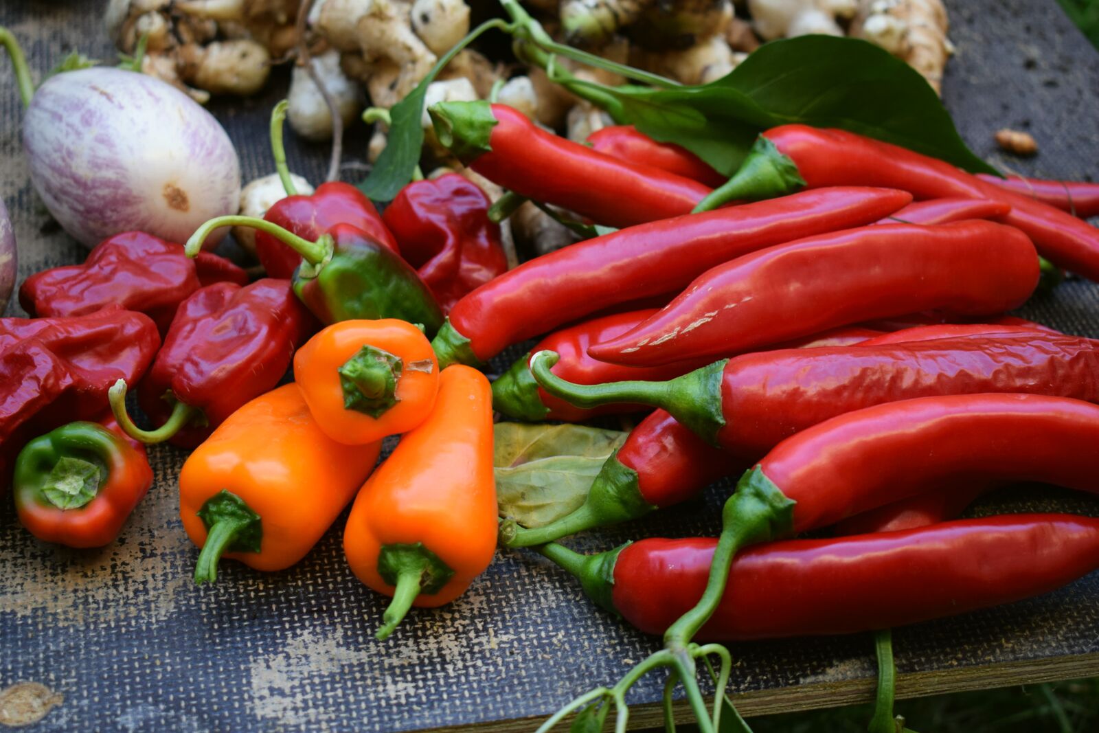 Nikon D3300 sample photo. Food, spice, vegetables photography