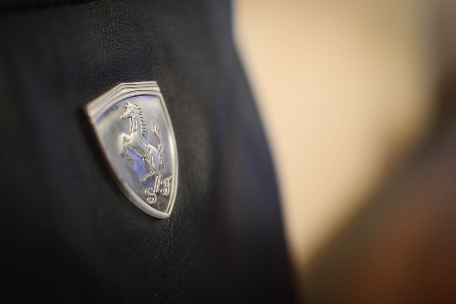 Nikon D3100 sample photo. Ferrari, logotype, speed photography
