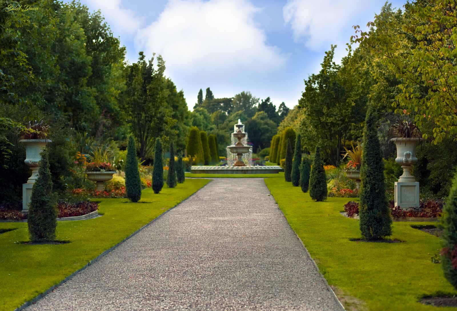 Canon EF 85mm F1.8 USM sample photo. Royal garden, garden, regents photography