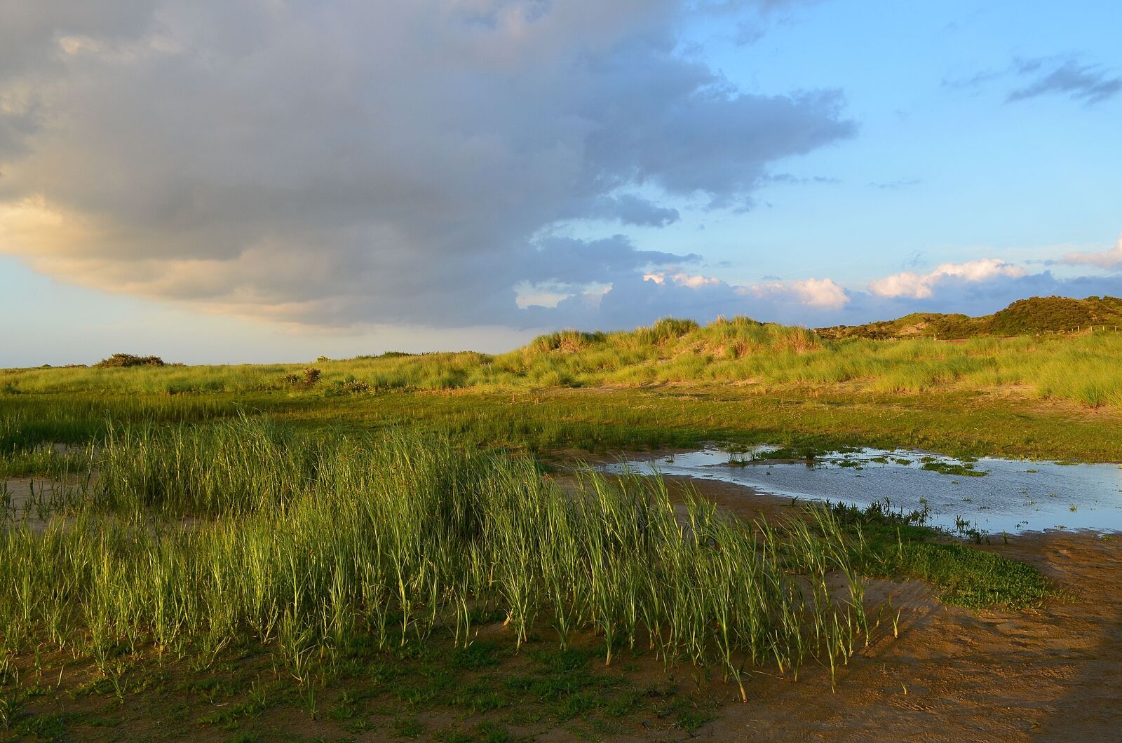 Nikon D5100 sample photo. Mood, dunes, borkum photography