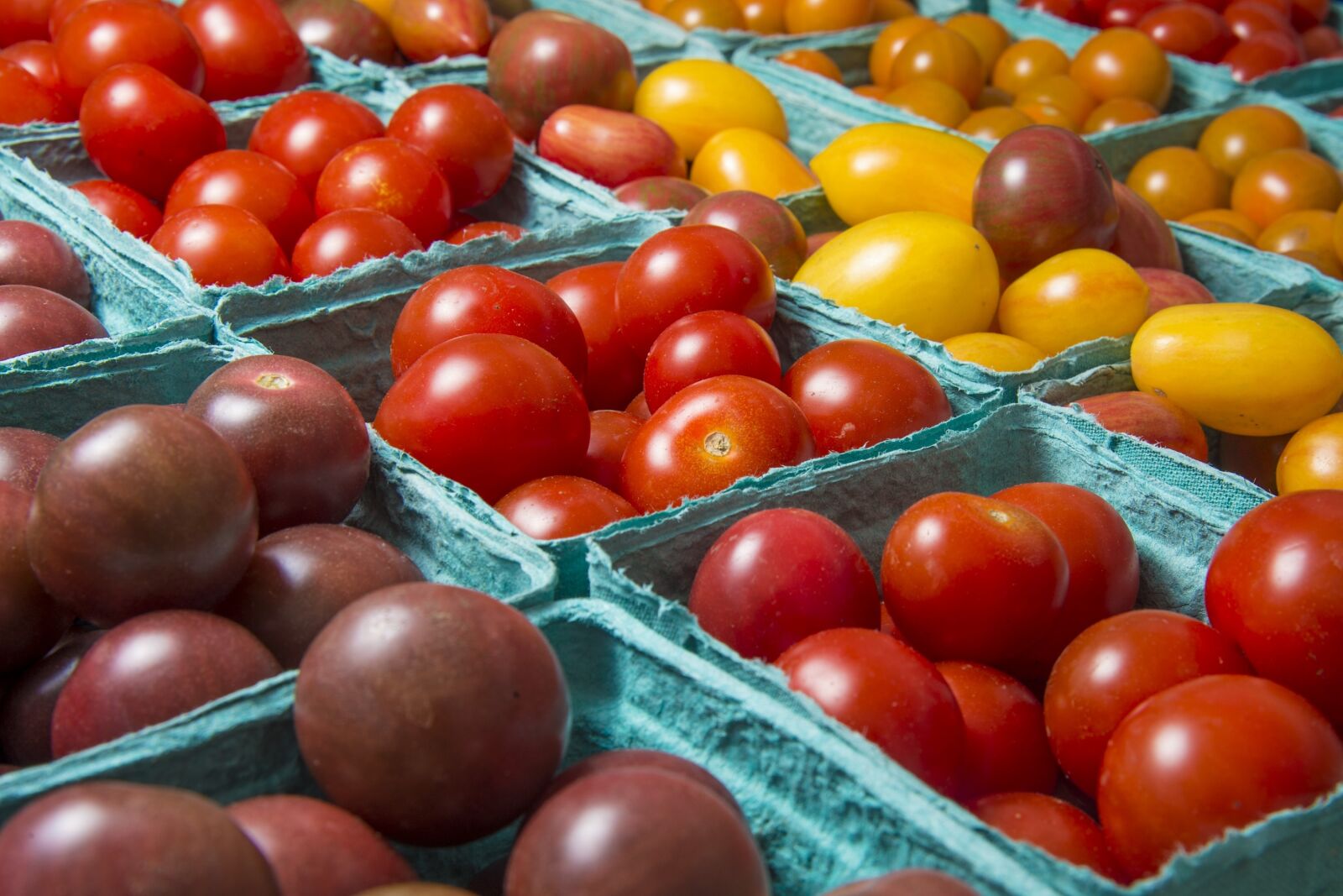 Nikon D4 sample photo. Tomatoes, fresh, vegetables photography