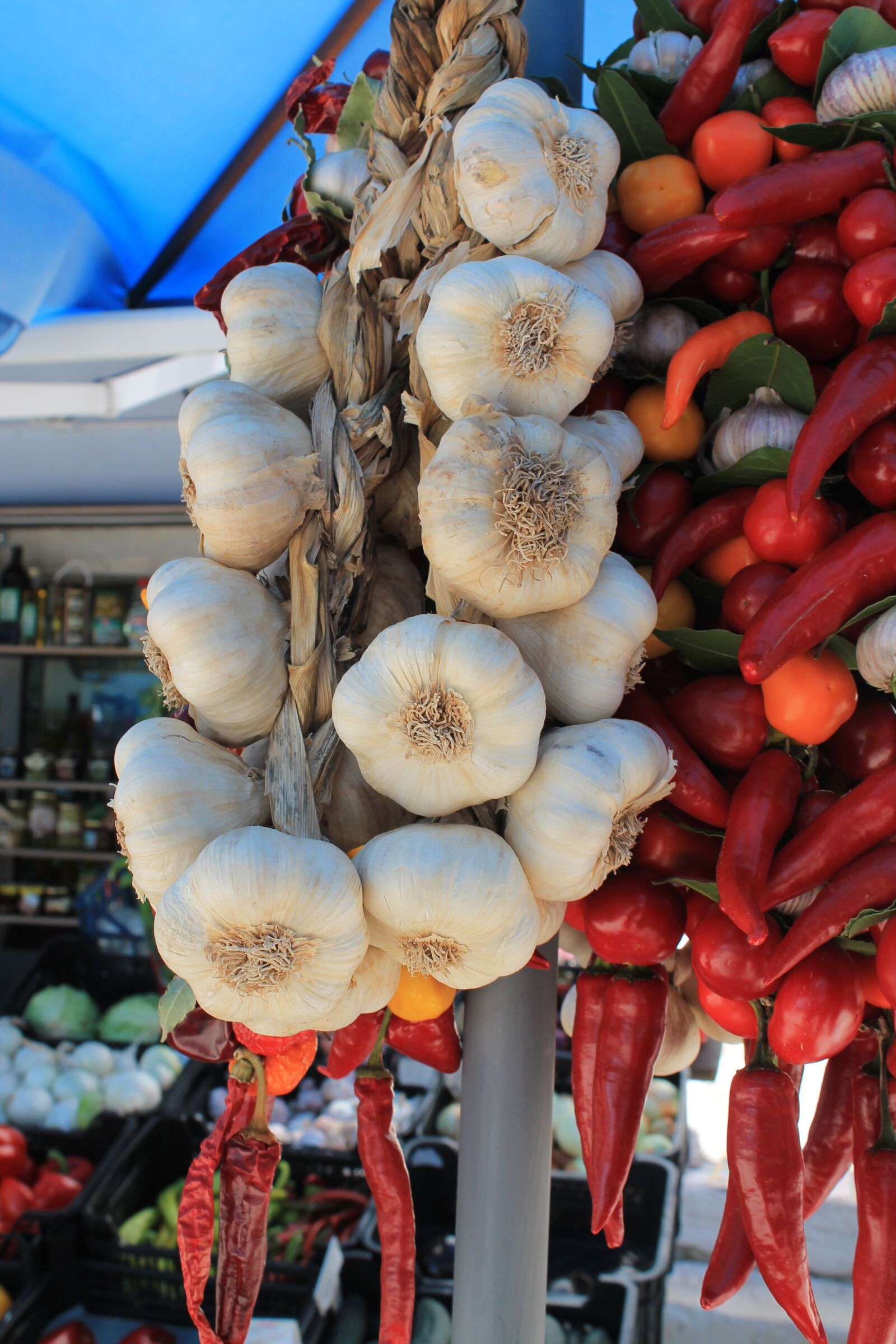 Canon EOS 1100D (EOS Rebel T3 / EOS Kiss X50) sample photo. Onion, paprika, vegetables photography