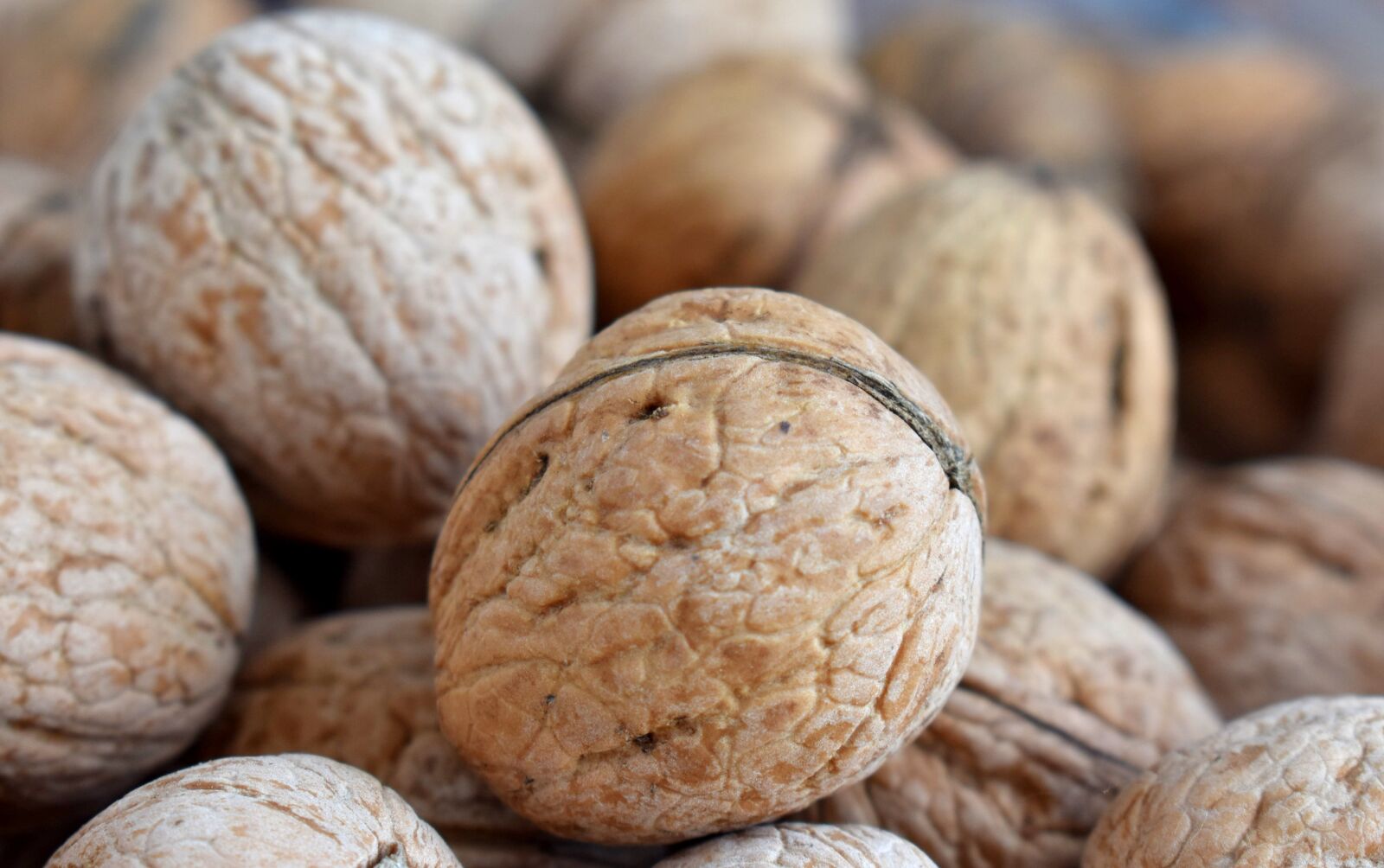 Nikon D3400 sample photo. Walnut, greek, healthy photography
