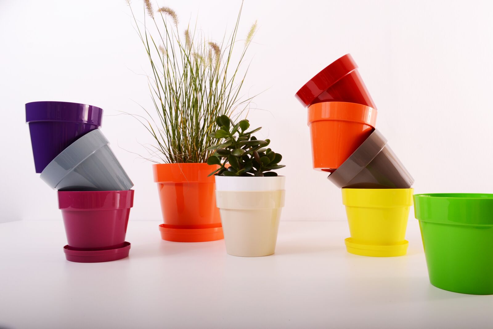 Nikon D3100 sample photo. Plants, flowerpot, plastic photography
