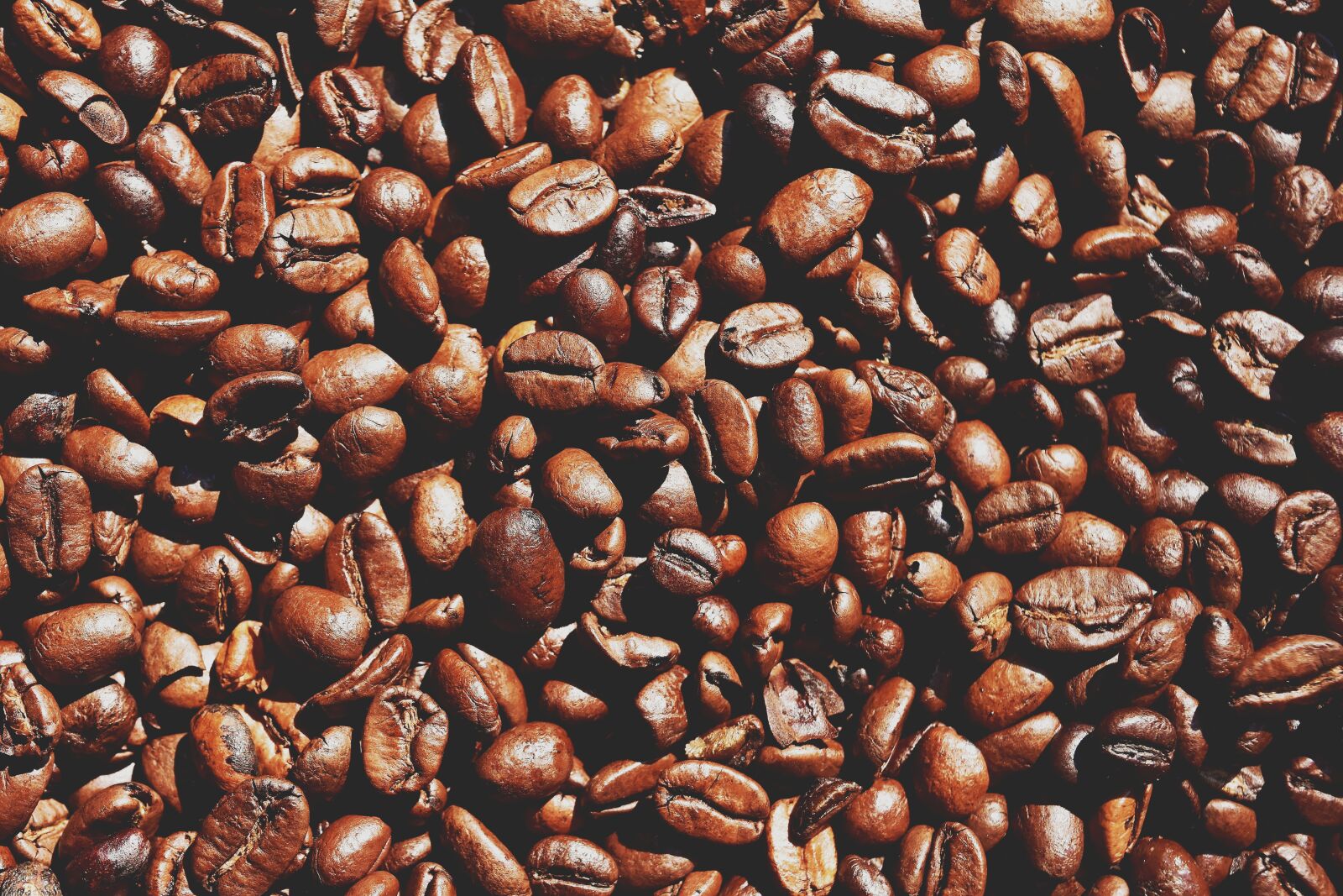 Nikon D7200 sample photo. Coffee beans, coffee, benefit photography