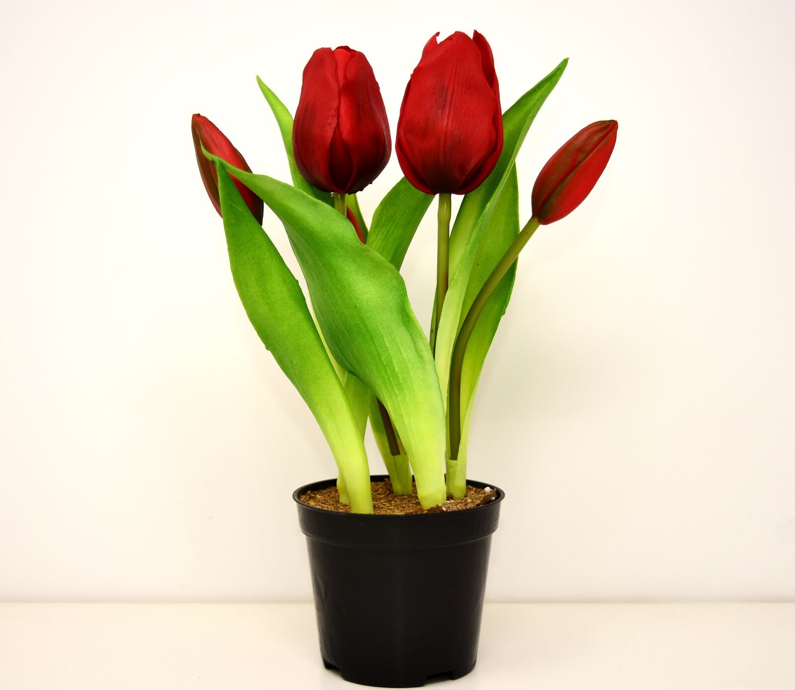 Nikon D7200 sample photo. Tulips, flowers, artificial photography