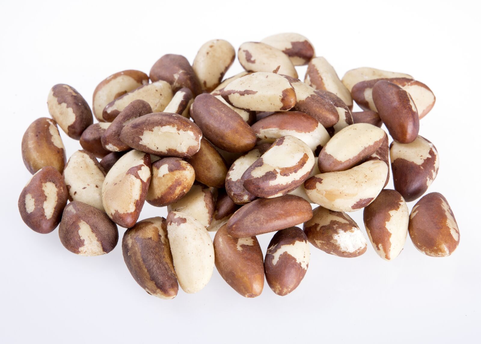 Canon EF 24-70mm F2.8L USM sample photo. Brazil nut seeds natural photography