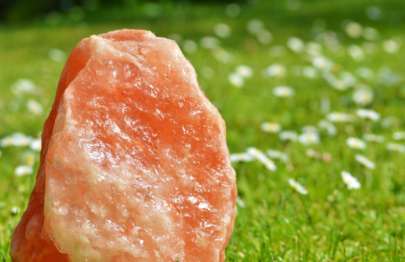 Nikon D3200 sample photo. Rock salt, halitit, salt photography