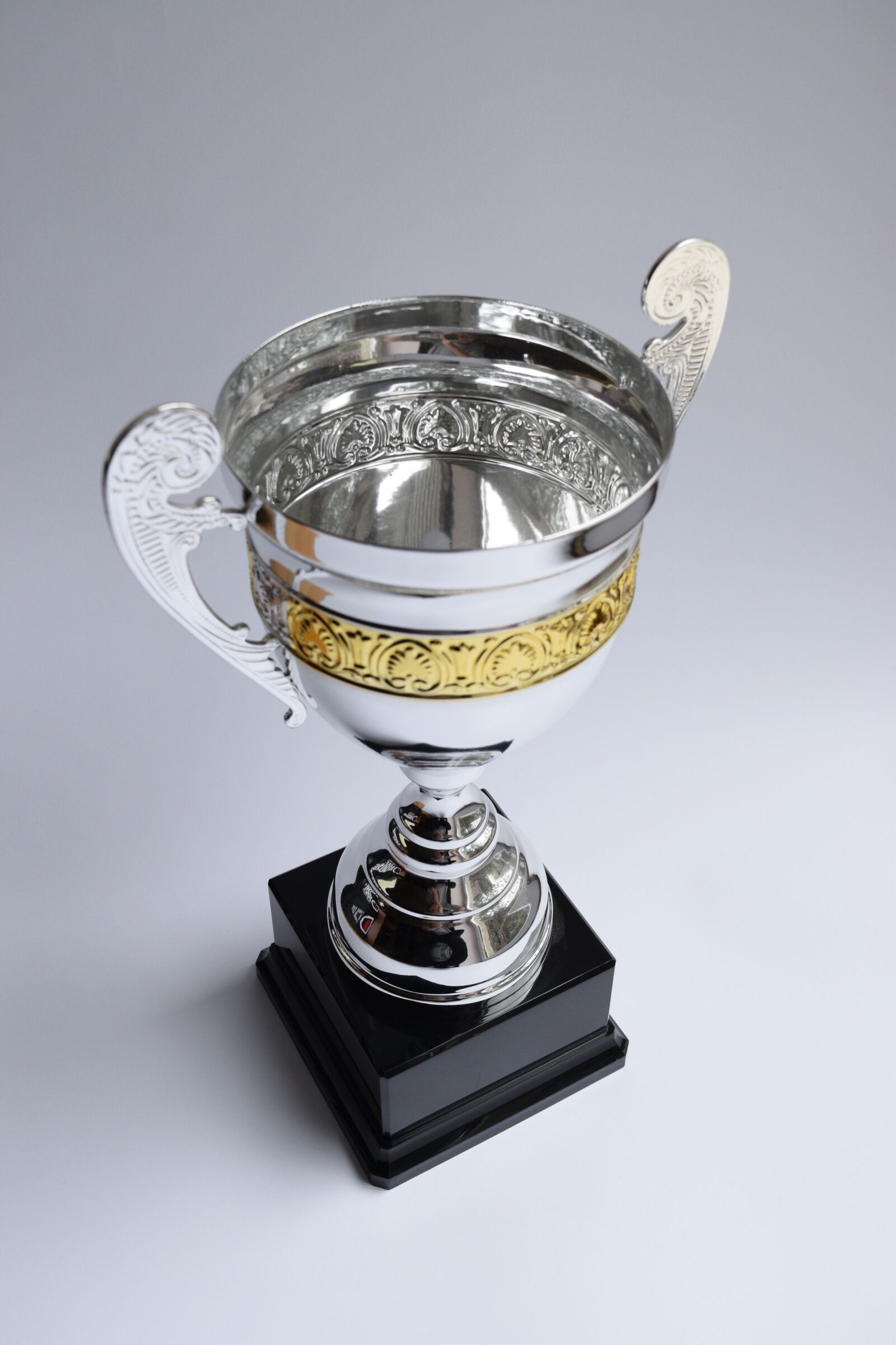 Nikon D3300 sample photo. Trophy, award, winner photography