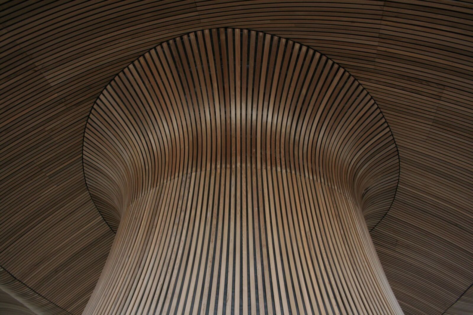 Canon EOS 350D (EOS Digital Rebel XT / EOS Kiss Digital N) sample photo. Wood, ceiling, pattern photography