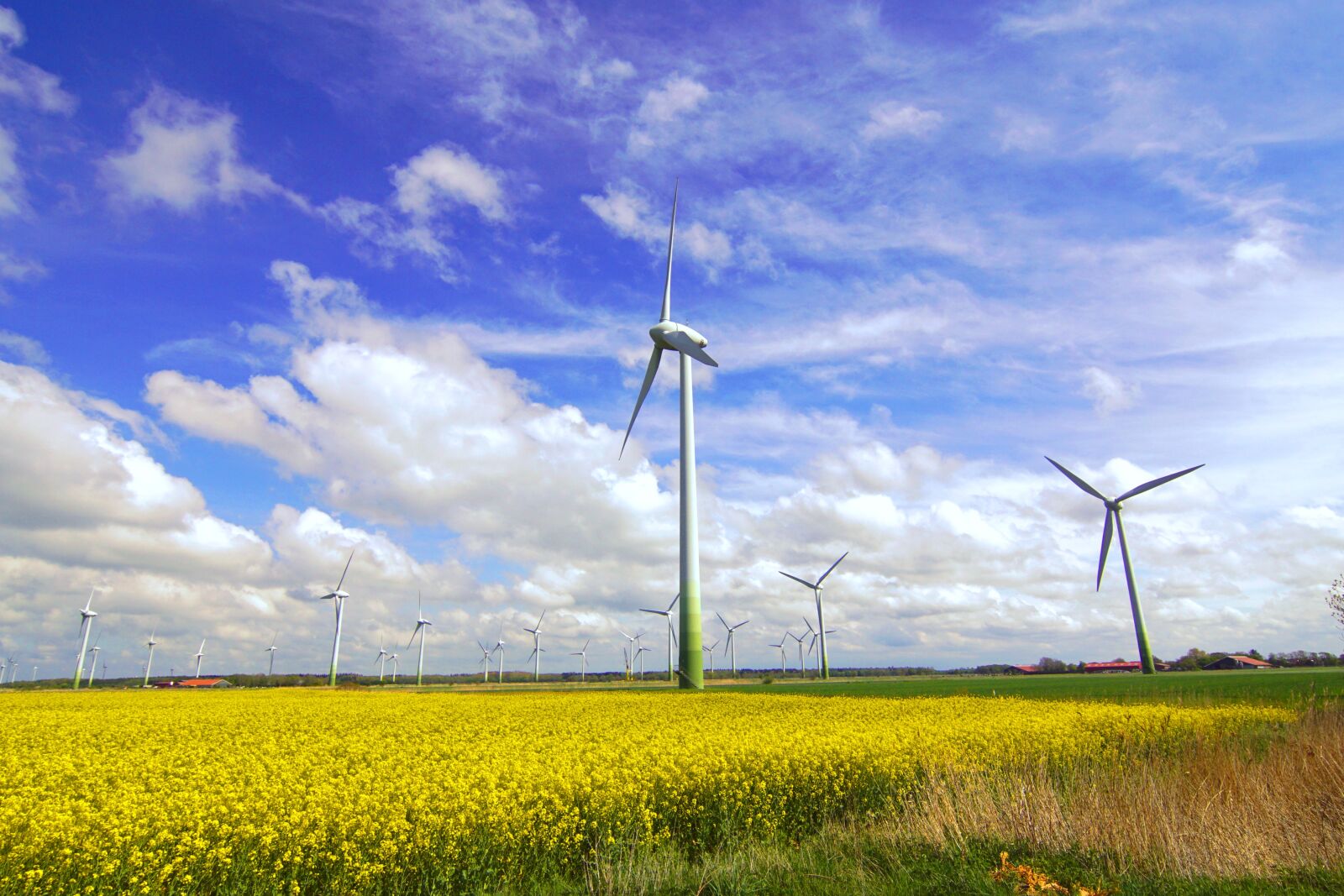 20mm F2.8 sample photo. Windmills, wind power, wind photography