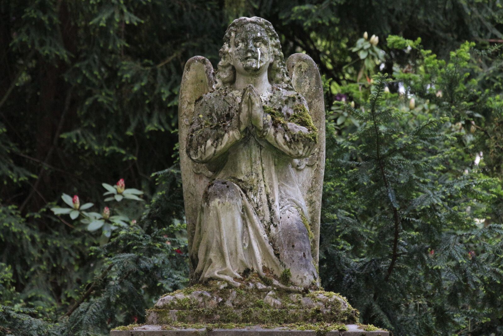 Canon EOS 700D (EOS Rebel T5i / EOS Kiss X7i) sample photo. Statue, art, sculpture photography