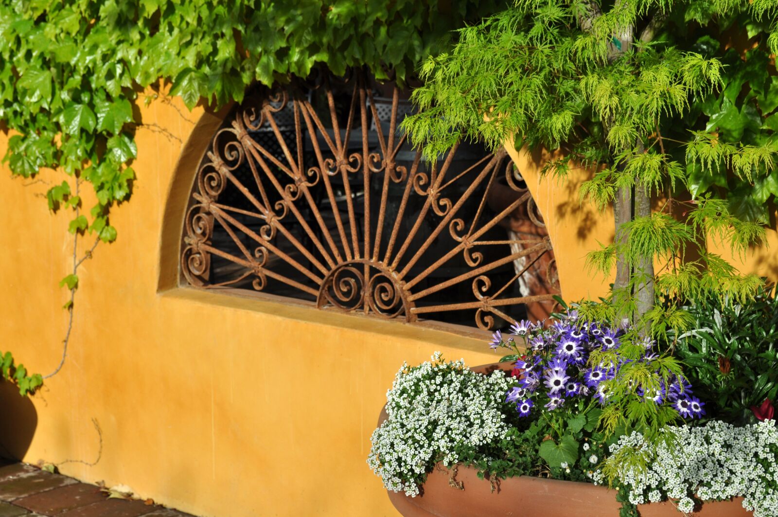 Nikon D5000 sample photo. Garden, wrought iron, greenery photography