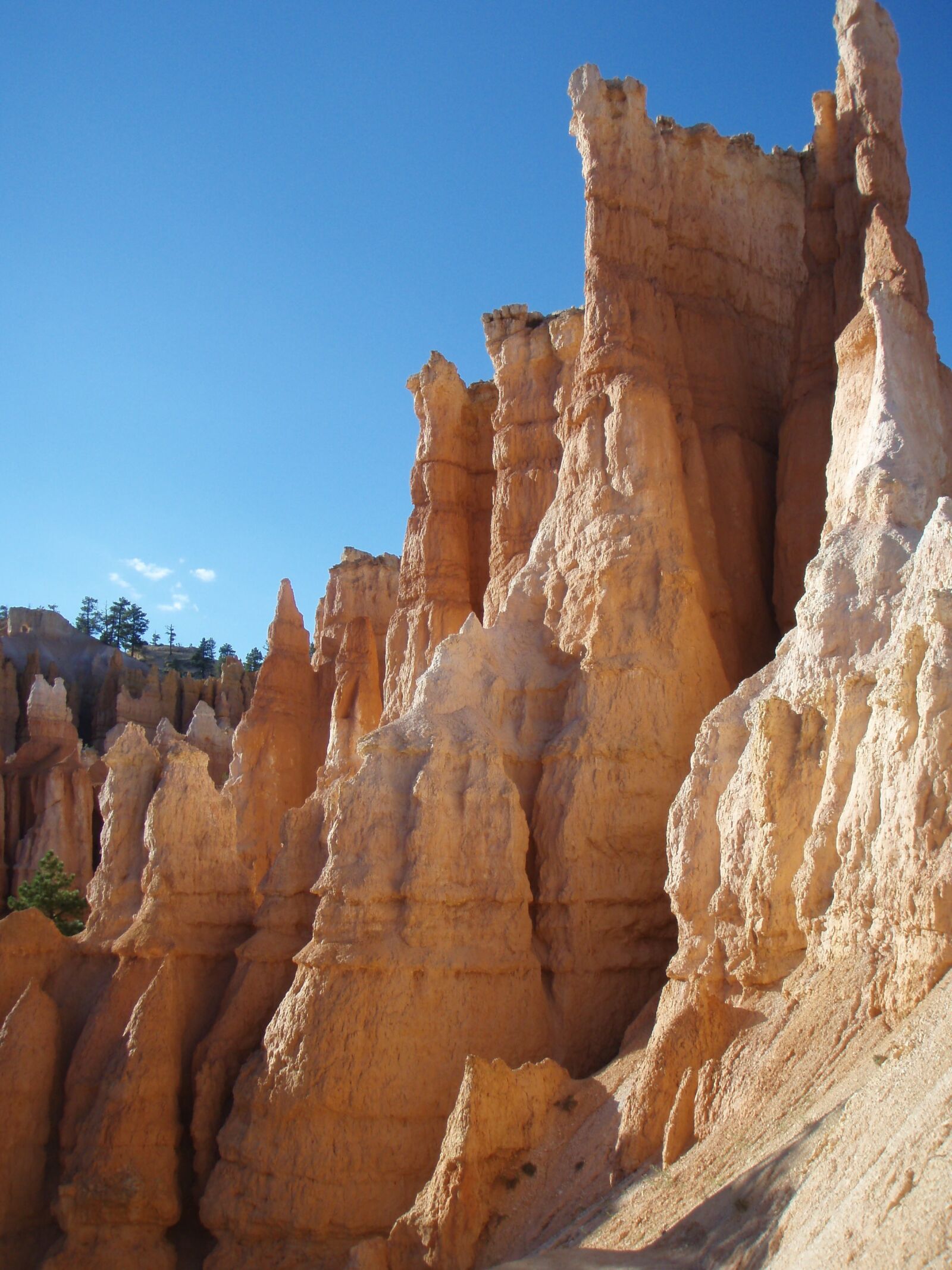 Olympus u770SW,S770SW sample photo. Bryce canyon, utah, landmark photography