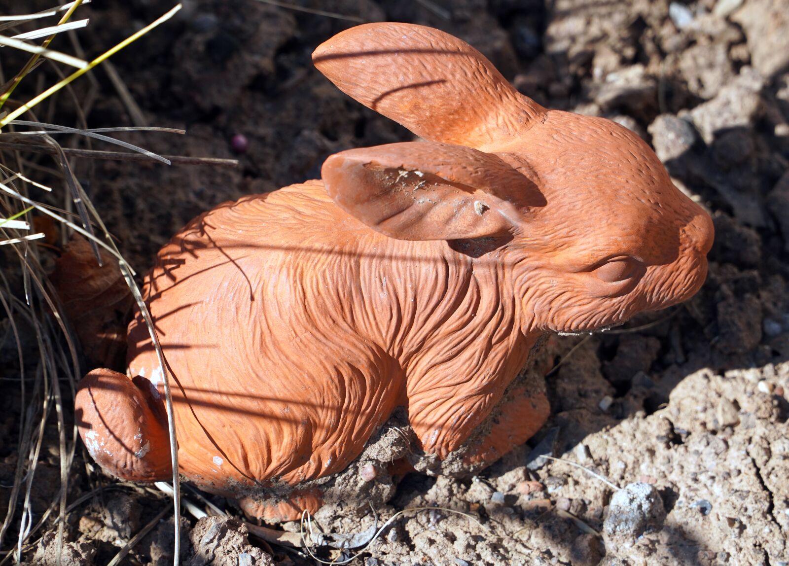 Sony E PZ 18-105mm F4 G OSS sample photo. Hare, sound, figure photography