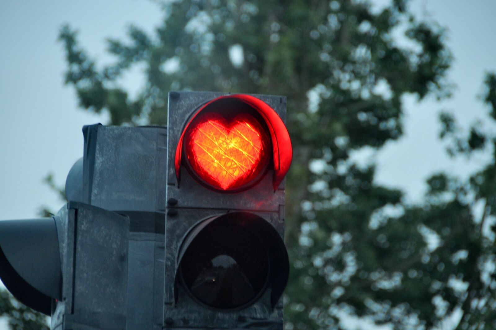 Nikon D90 sample photo. Stoplight, heart, road photography